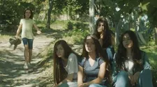 Mustangs in the wild: "I always thought the five girls were one character with five heads …"